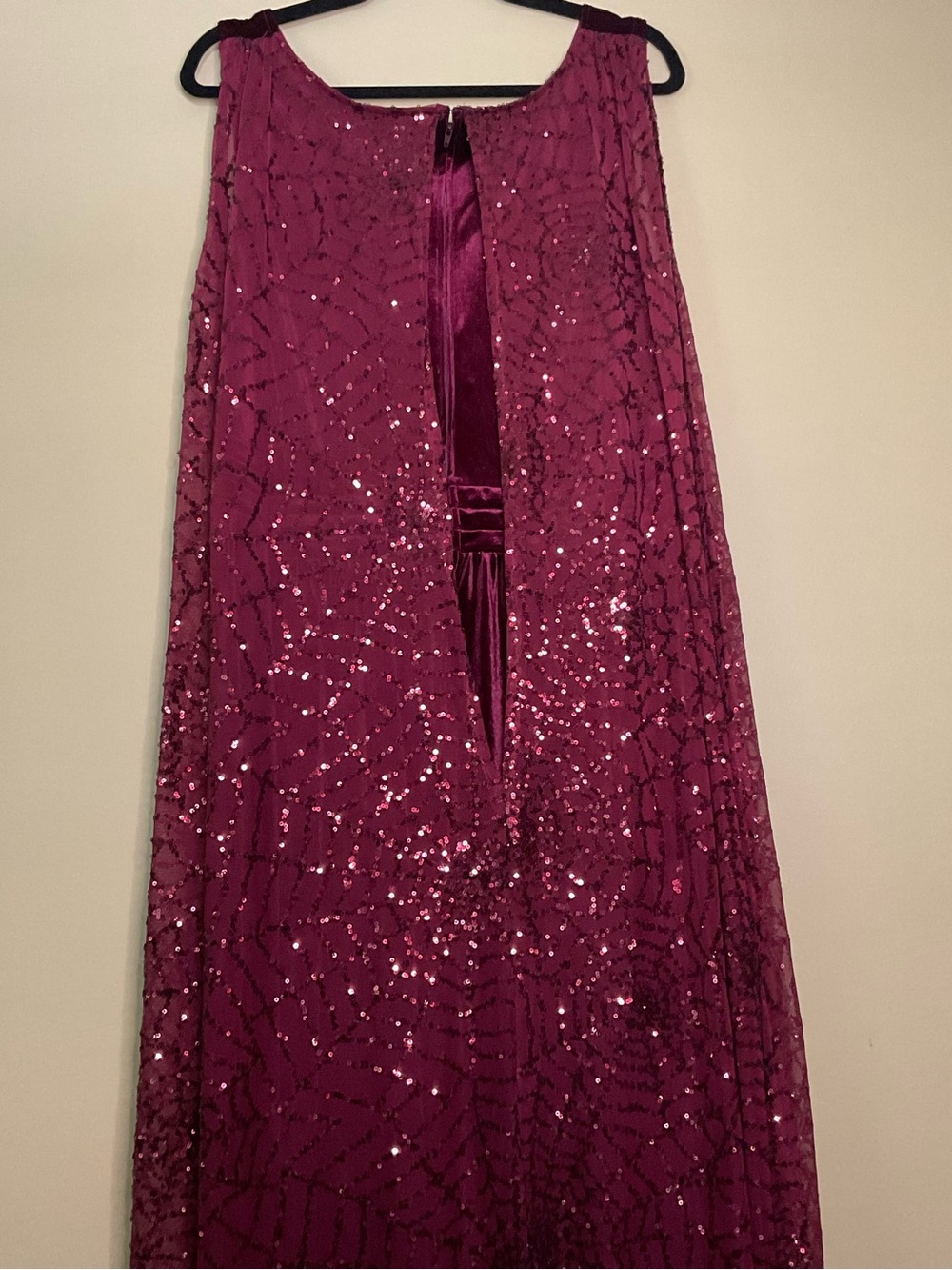 Disney Hocus Pocus Plus Size Burgundy Velvet Costume - Picture 6 of 7